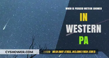 Perseid Meteor Shower 2023: Best Viewing Times in Western PA