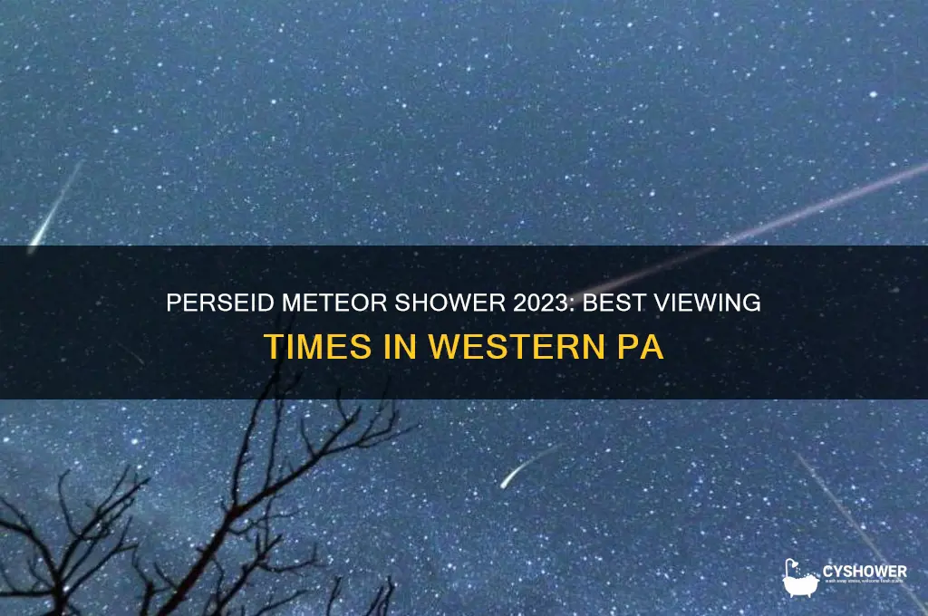 when is perseid meteor shower in western pa