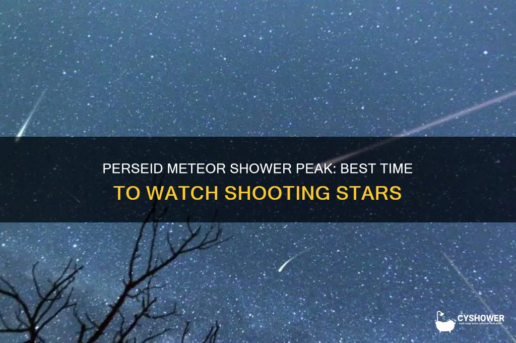 when is perseid meteor shower peak