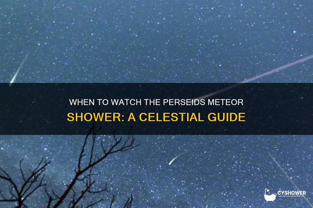when is persieds meteor shower