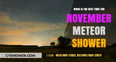 Catching November's Meteor Shower: Prime Viewing Times and Tips