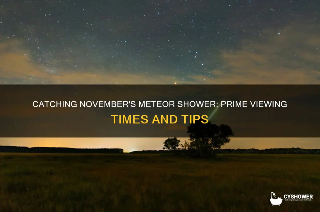 when is the best time for november meteor shower