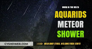 Delta Aquarids Meteor Shower: Peak Dates and Viewing Tips