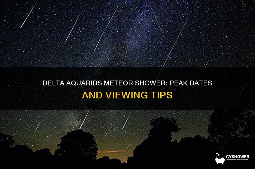 when is the delta aquarids meteor shower
