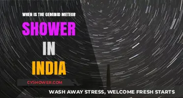 Geminid Meteor Shower 2023: India's Best Viewing Dates & Tips