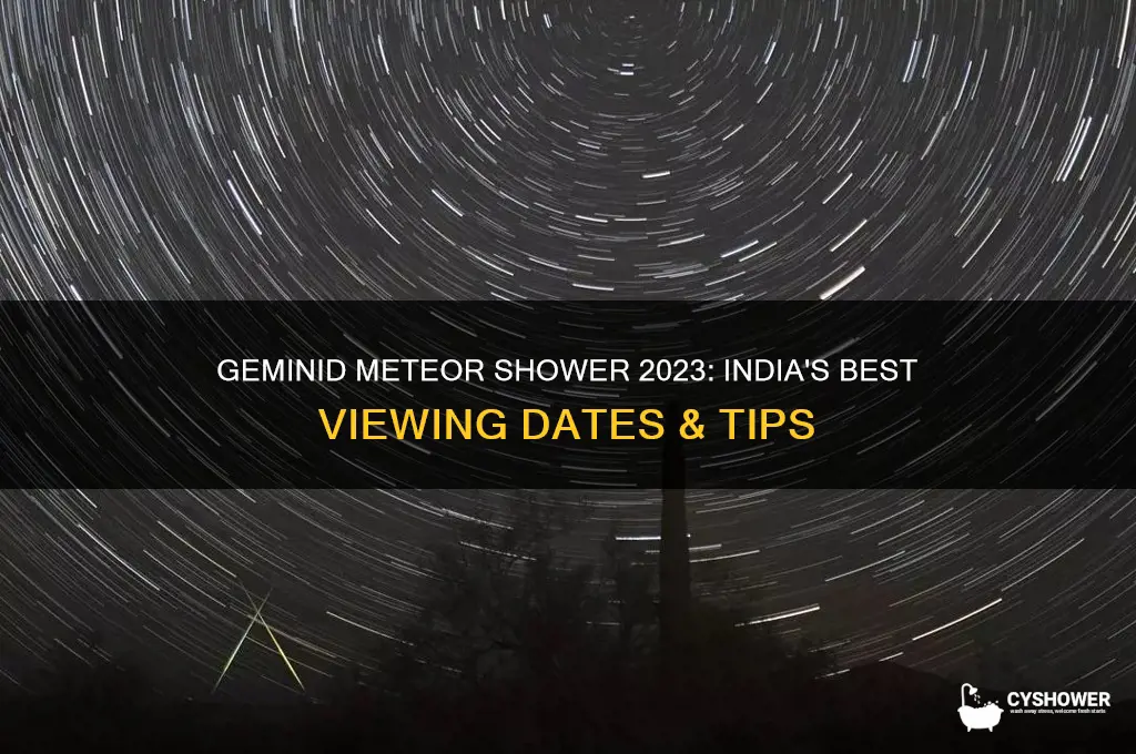 when is the geminid meteor shower in india