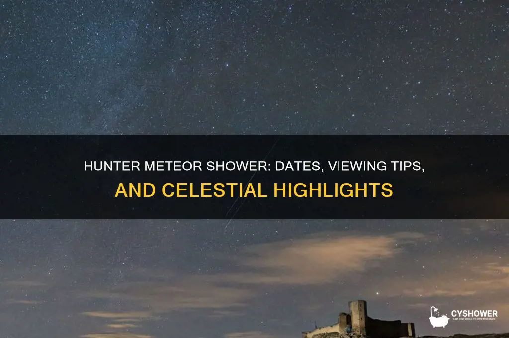 when is the hunter meteor shower