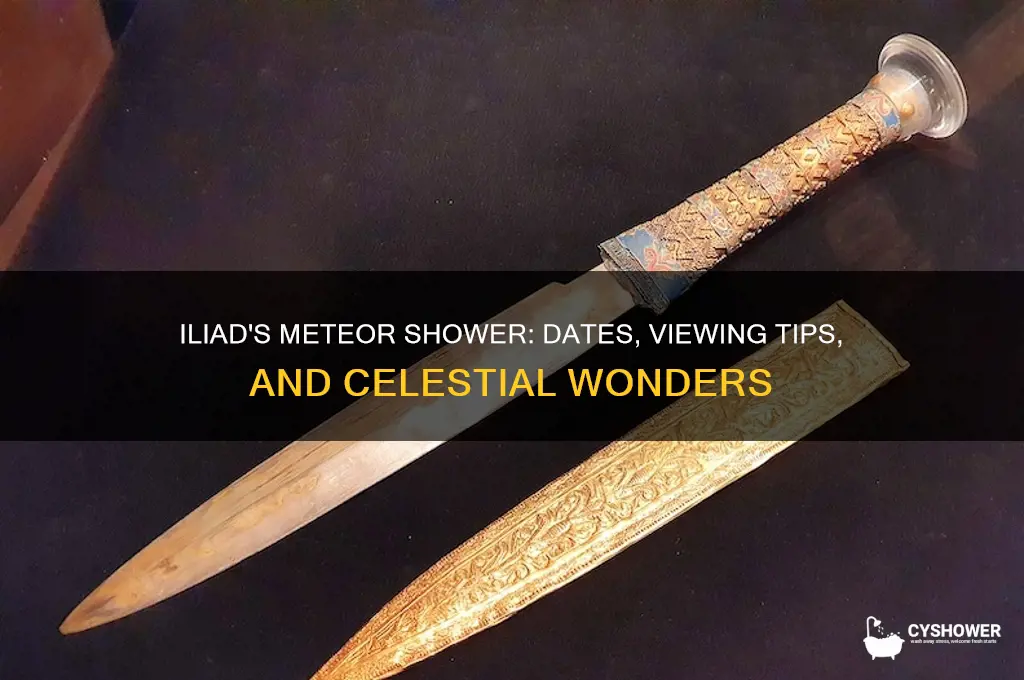 when is the iliads meteor shower