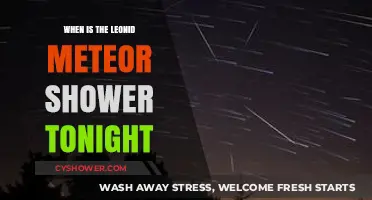 Leonid Meteor Shower Tonight: Peak Time and Viewing Tips