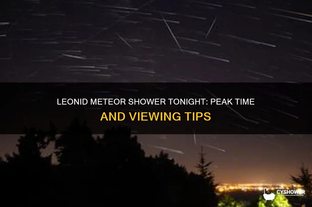 when is the leonid meteor shower tonight