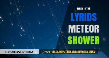 Lyrids Meteor Shower 2023: Dates, Viewing Tips, and Peak Times