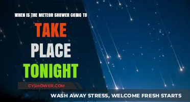 Tonight's Meteor Shower: Timing and Best Viewing Tips
