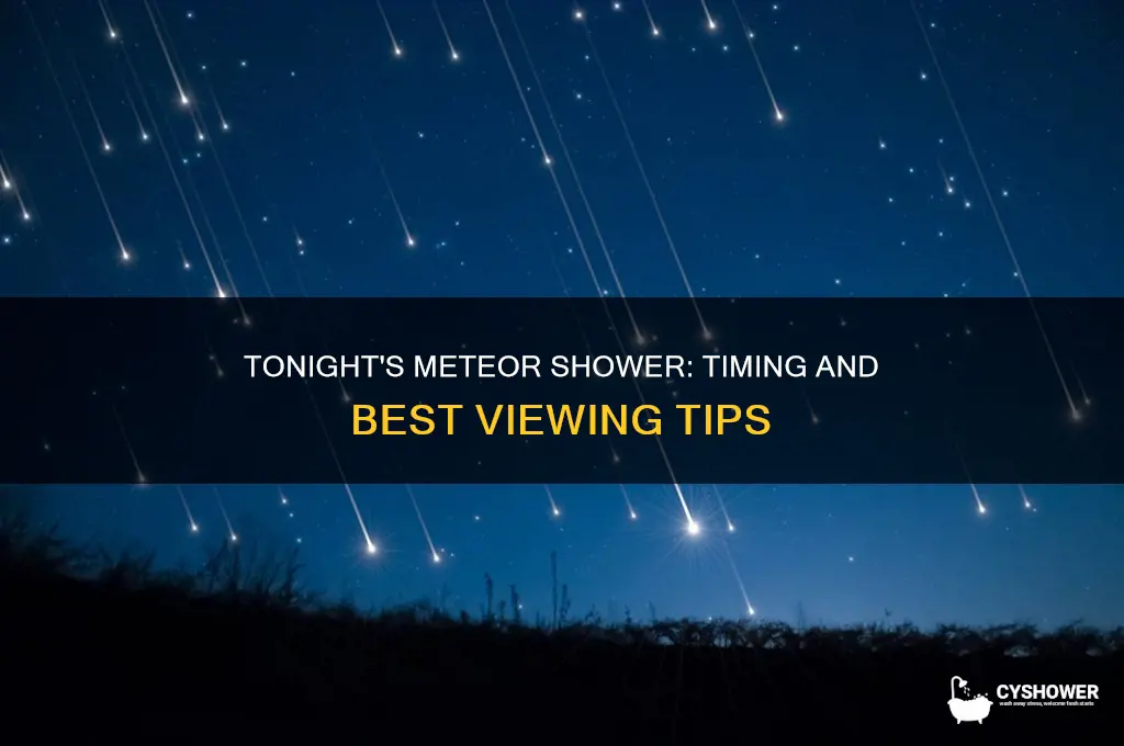 when is the meteor shower going to take place tonight