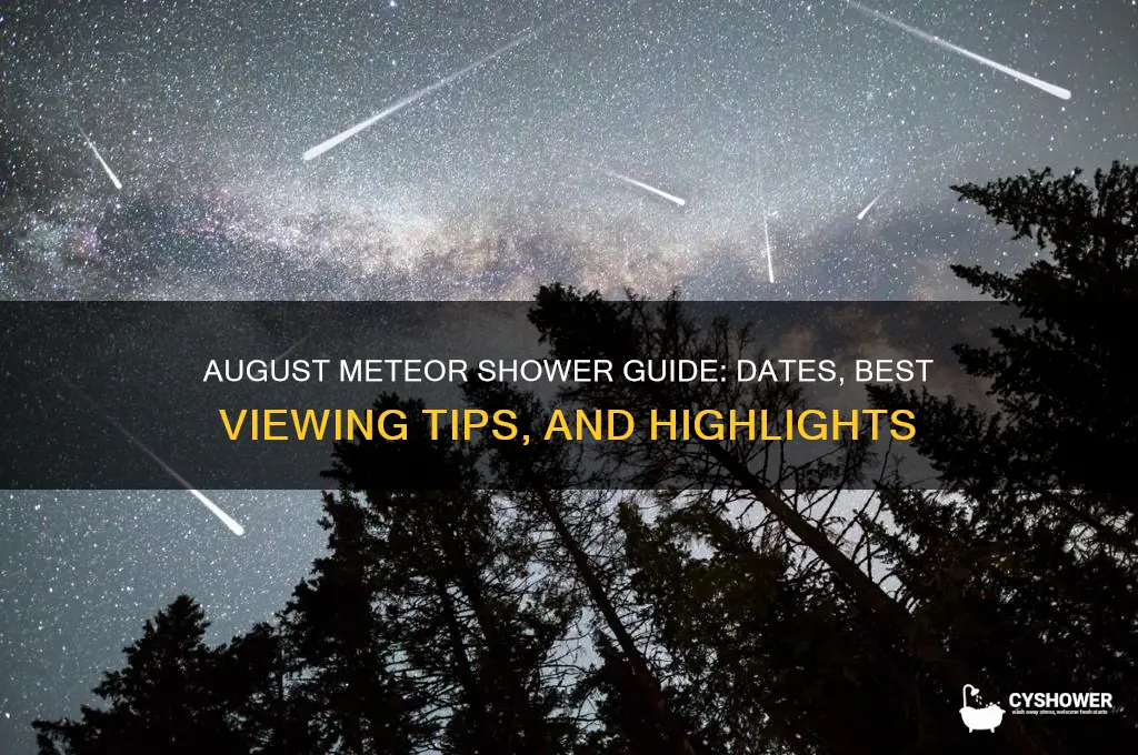 when is the meteor shower in august