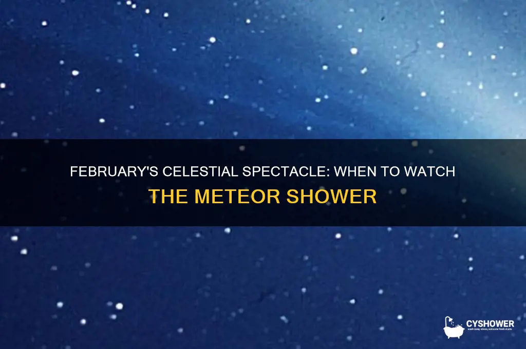 when is the meteor shower in february