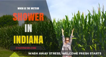 Indiana's Meteor Shower 2023: Dates, Times, and Viewing Tips