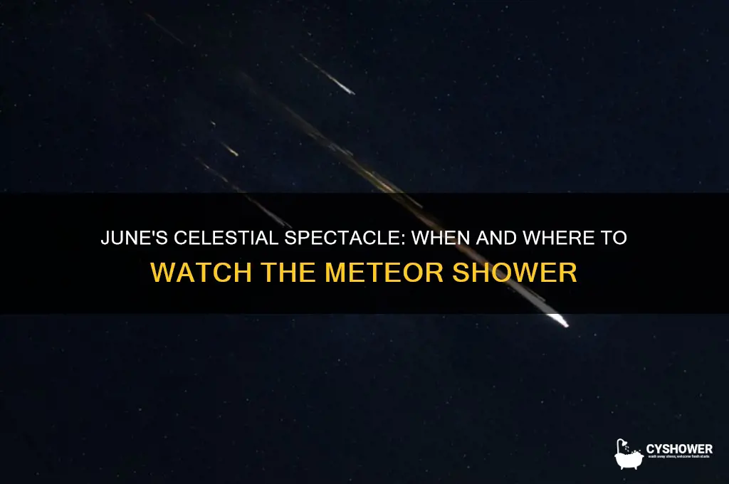 when is the meteor shower in june