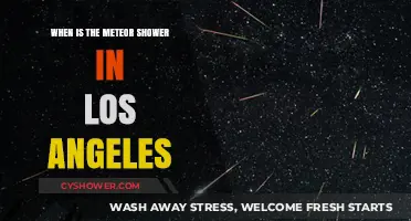 Los Angeles Meteor Shower 2023: Dates, Times, and Viewing Tips