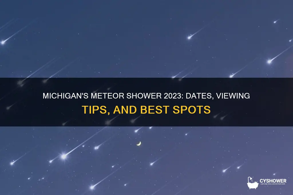 when is the meteor shower in michigan