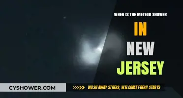 New Jersey's Meteor Shower 2023: Dates and Best Viewing Tips