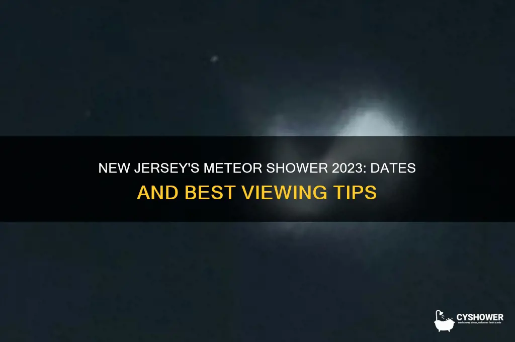 when is the meteor shower in new jersey