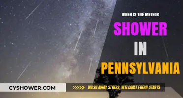 Pennsylvania's Meteor Shower 2023: Dates, Times, and Viewing Tips
