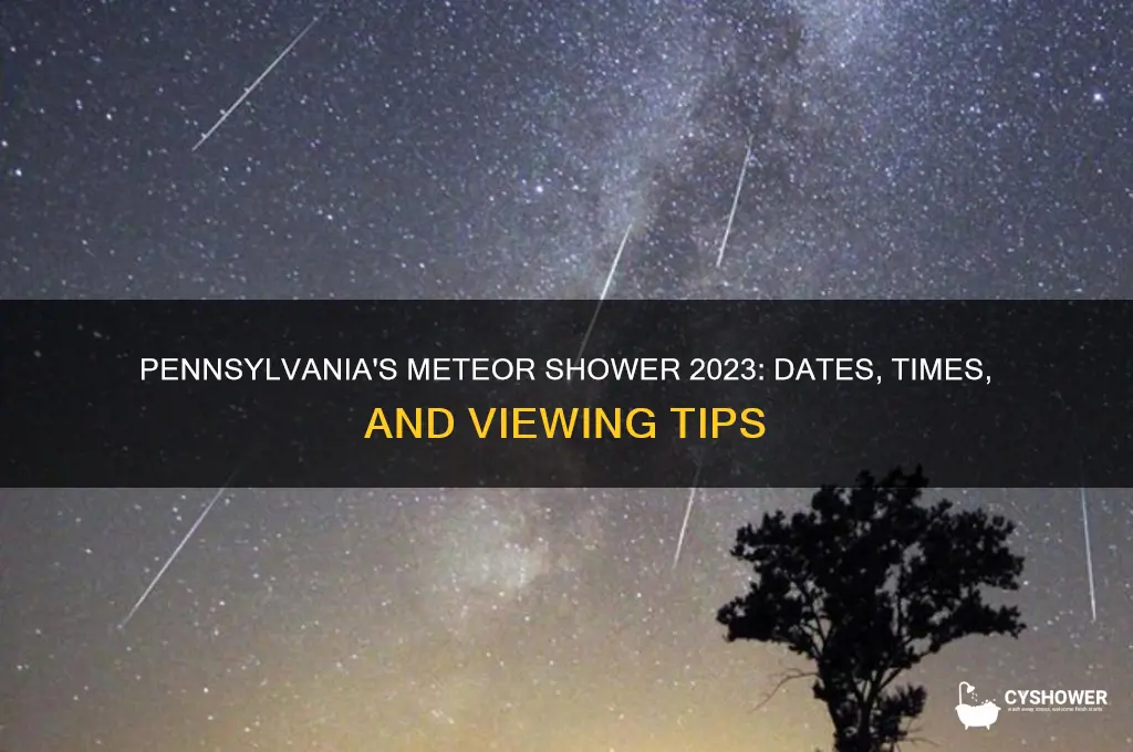 when is the meteor shower in pennsylvania