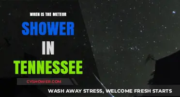Tennessee's Meteor Shower 2023: Dates, Viewing Tips, and Best Locations