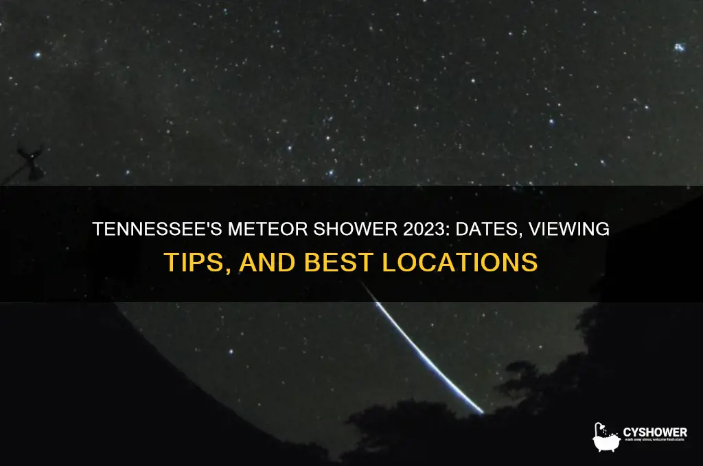 when is the meteor shower in tennessee