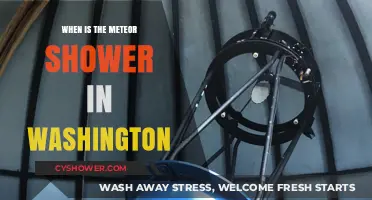 Washington's Meteor Shower 2023: Dates, Best Viewing Tips, and Locations