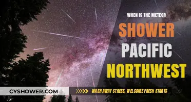 Pacific Northwest Meteor Shower Guide: Dates, Times, and Viewing Tips