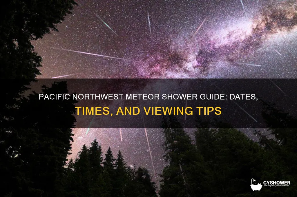 when is the meteor shower pacific northwest