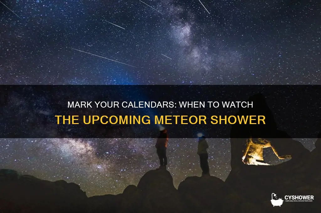 when is the meteor shower supposed to happen