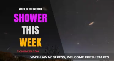 Catch the Week's Meteor Shower: Dates and Viewing Tips