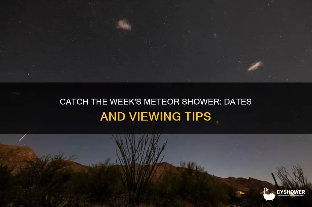 when is the meteor shower this week