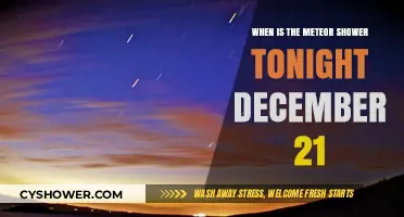 December 21 Meteor Shower: When and Where to Watch Tonight