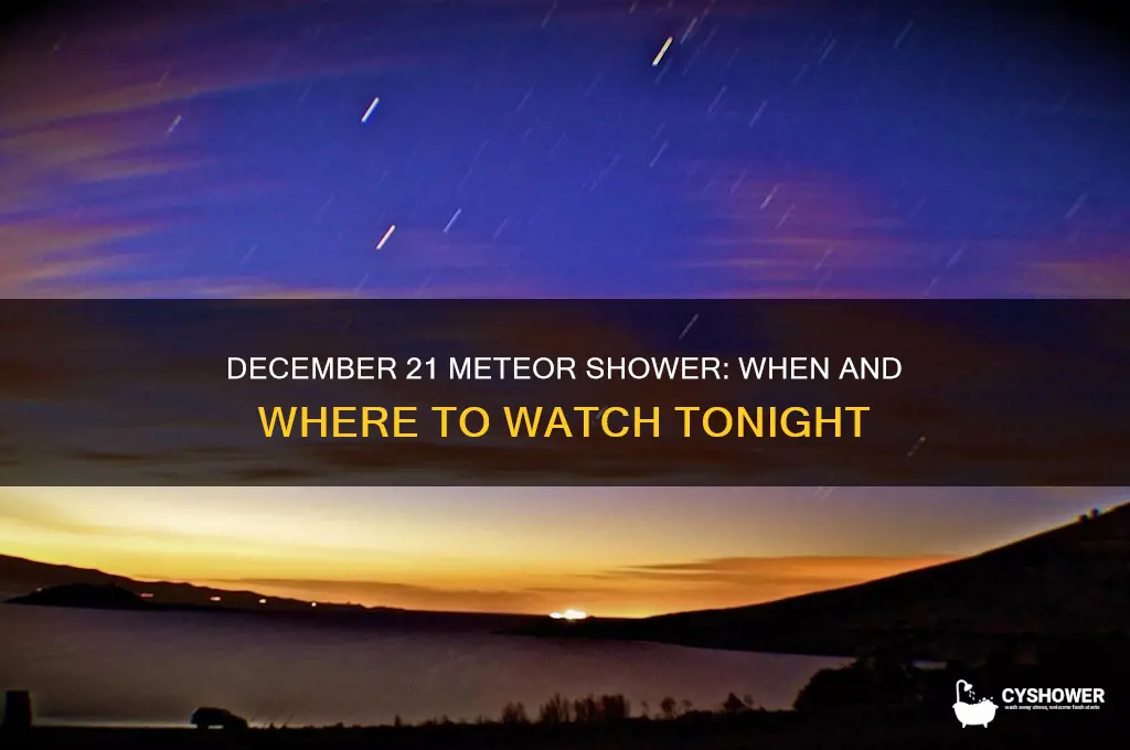 when is the meteor shower tonight december 21