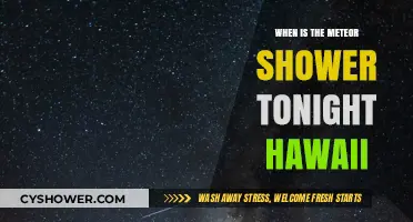 Hawaii's Night Sky: Meteor Shower Viewing Time Tonight