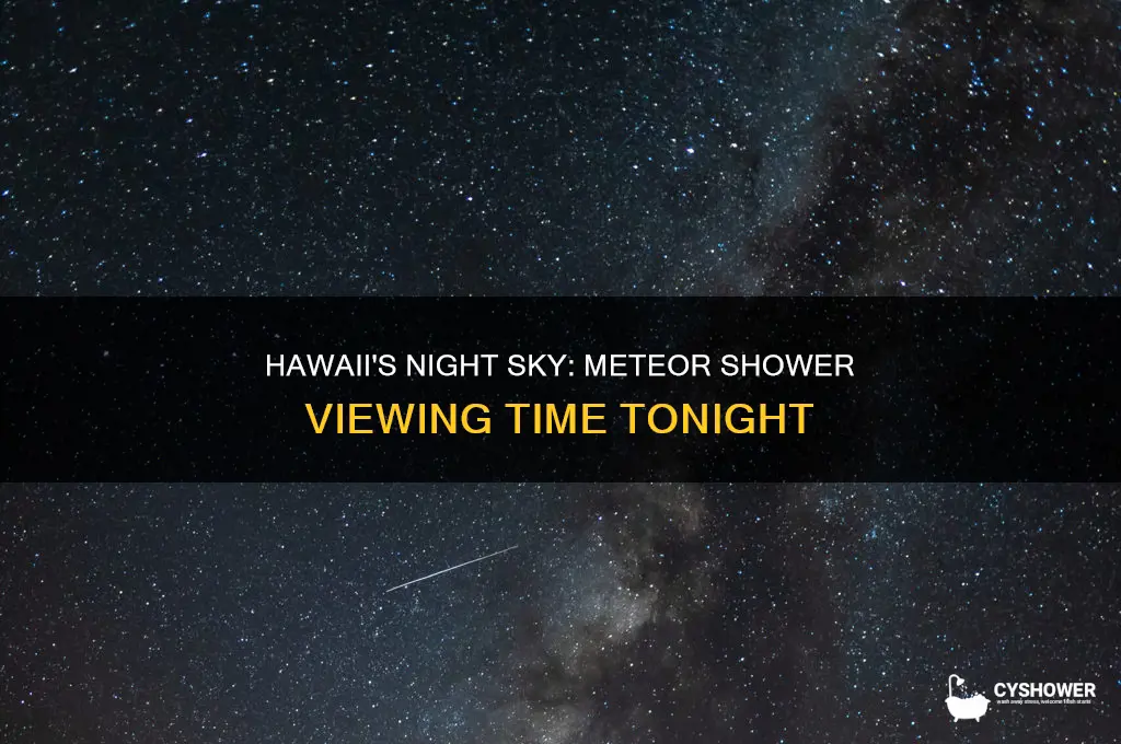 when is the meteor shower tonight hawaii