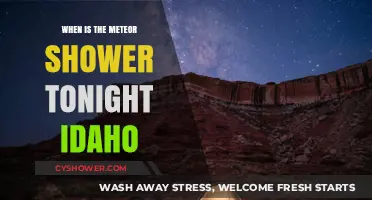 Idaho's Night Sky: When to Watch Tonight's Meteor Shower