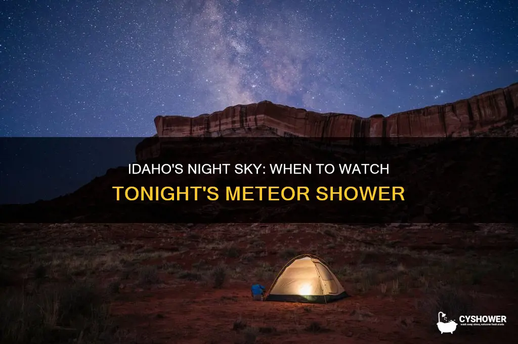 when is the meteor shower tonight idaho