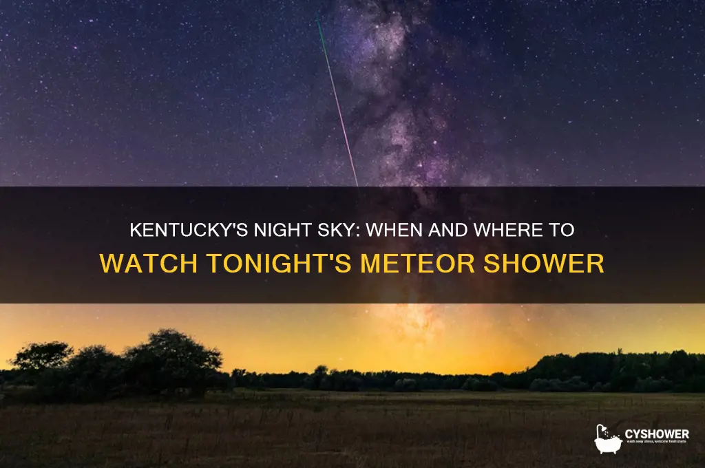 when is the meteor shower tonight near kentucky