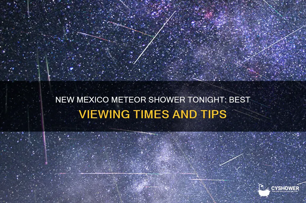 when is the meteor shower tonight near new mexico
