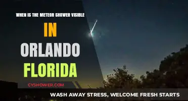 Orlando's Meteor Shower: Best Viewing Dates and Tips