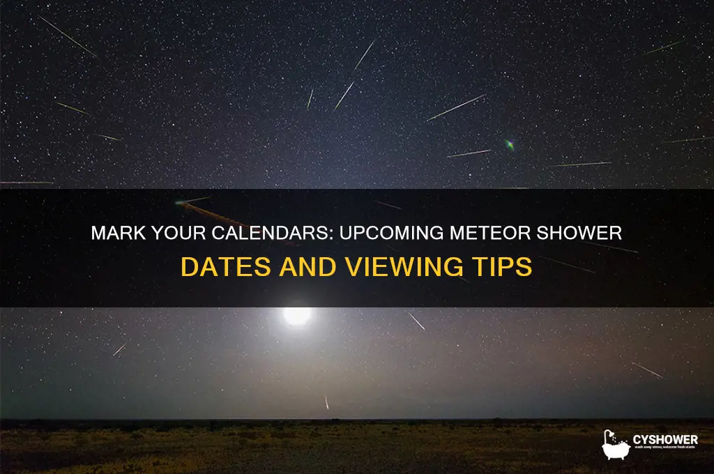 when is the nect meteor shower