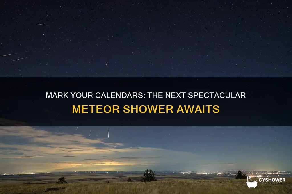 when is the next biggest meteor shower