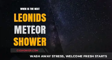Mark Your Calendar: When to Watch the Next Leonids Meteor Shower