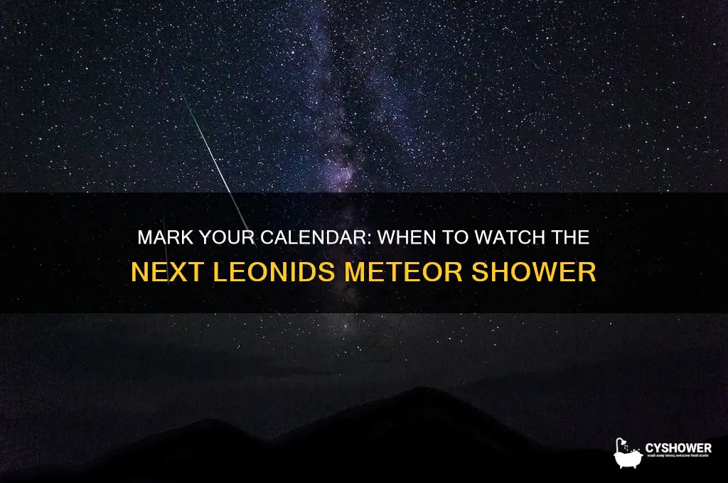 when is the next leonids meteor shower