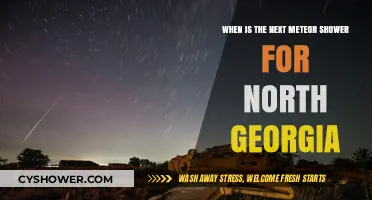 North Georgia's Next Meteor Shower: Dates and Viewing Tips