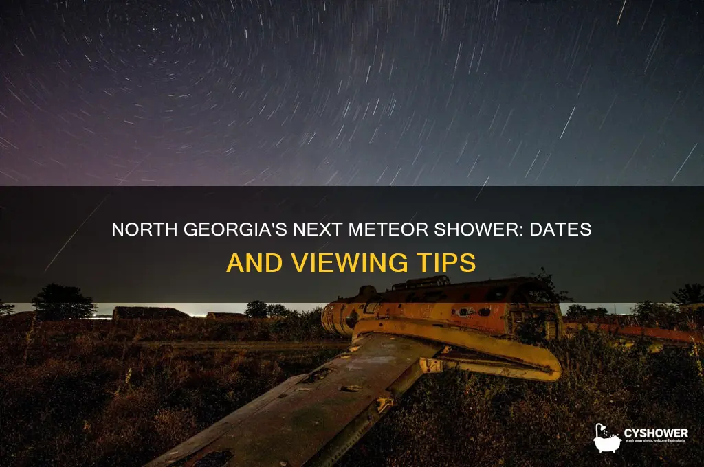 when is the next meteor shower for north georgia